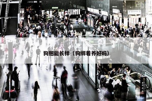 狗捆能长样（狗绑着养好吗）