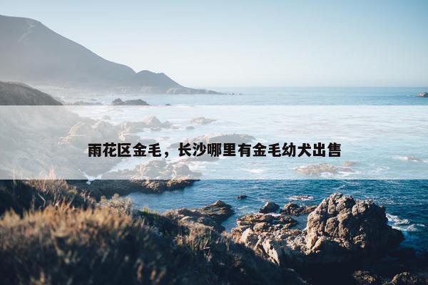 长沙市