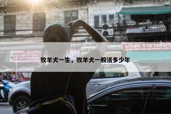 牧羊犬一生,牧羊犬一般活多少年