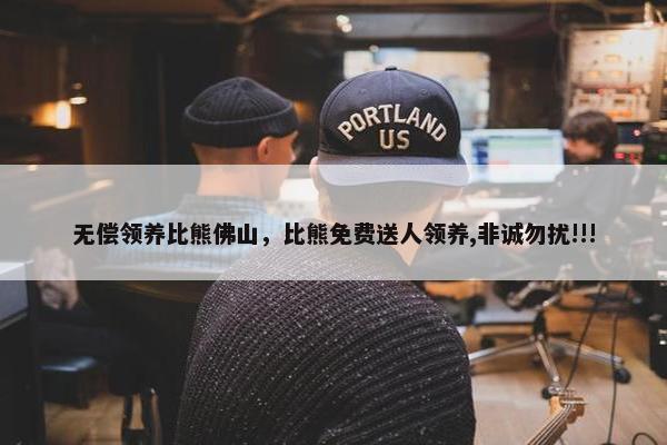 无偿领养比熊佛山，比熊免费送人领养,非诚勿扰!!!