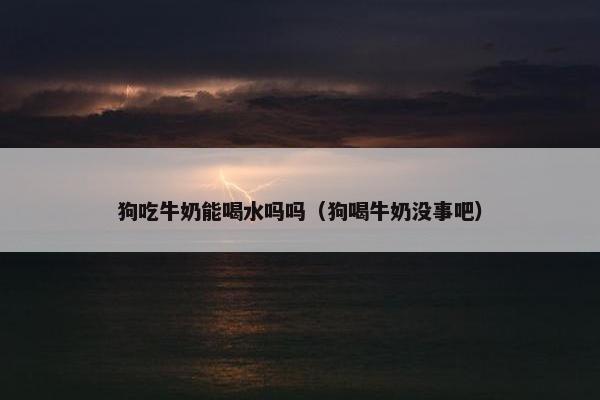 狗吃牛奶能喝水吗吗（狗喝牛奶没事吧）