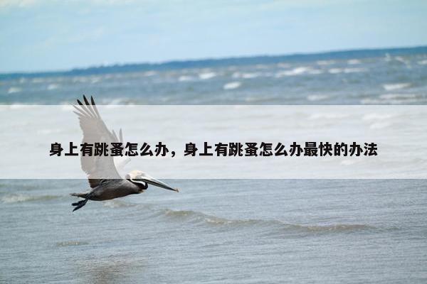 身上有跳蚤怎么办，身上有跳蚤怎么办最快的办法