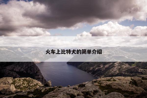 火车上比特犬的简单介绍