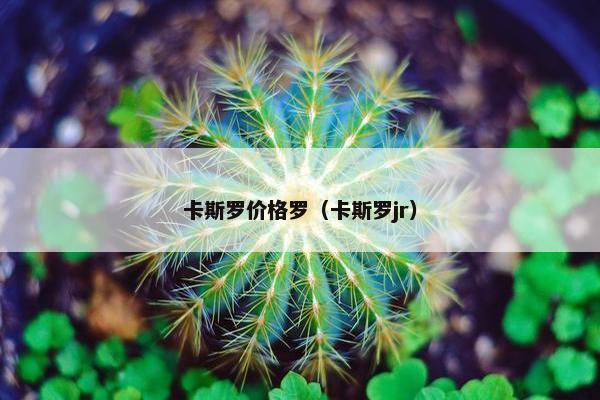 卡斯罗价格罗（卡斯罗jr）