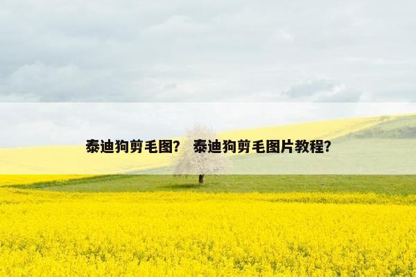 泰迪狗剪毛图？ 泰迪狗剪毛图片教程？