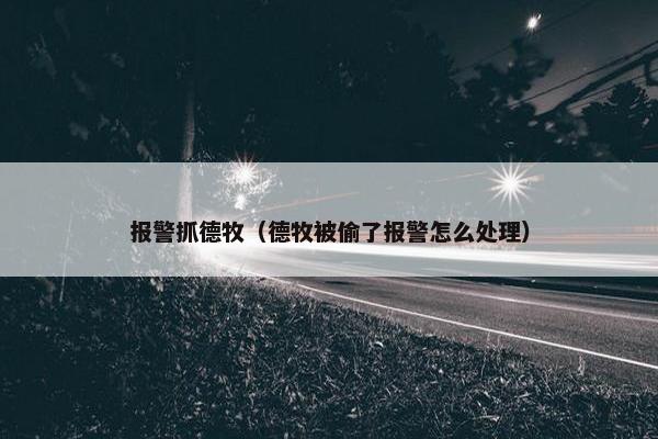 报警抓德牧（德牧被偷了报警怎么处理）