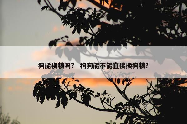 狗能换粮吗？ 狗狗能不能直接换狗粮？