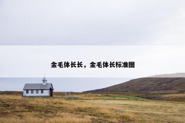 金毛体长长，金毛体长标准图