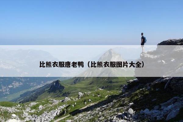 比熊衣服唐老鸭（比熊衣服图片大全）