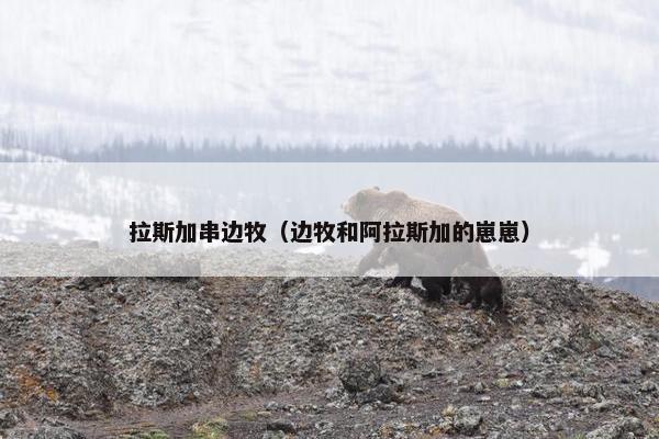 拉斯加串边牧（边牧和阿拉斯加的崽崽）