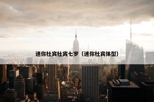 迷你杜宾杜宾七岁（迷你杜宾体型）