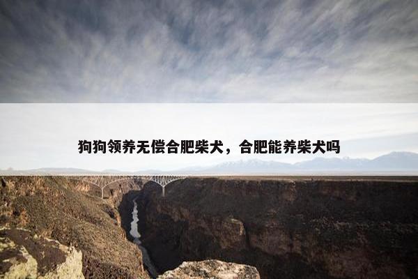 狗狗领养无偿合肥柴犬，合肥能养柴犬吗