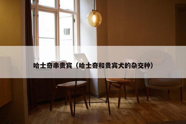 哈士奇串贵宾（哈士奇和贵宾犬的杂交种）