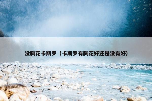 没胸花卡斯罗（卡斯罗有胸花好还是没有好）