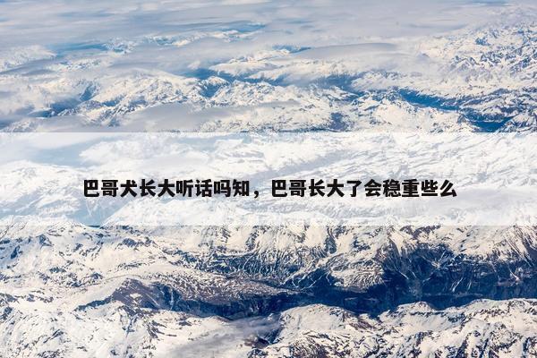 巴哥犬长大听话吗知，巴哥长大了会稳重些么