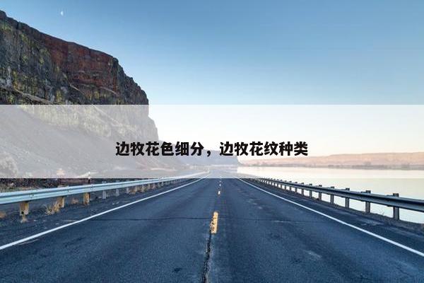 边牧花色细分，边牧花纹种类