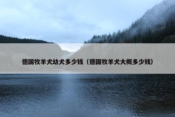 德国牧羊犬幼犬多少钱（德国牧羊犬大概多少钱）