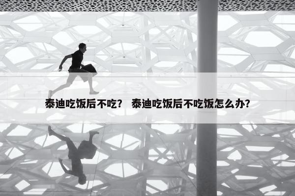 泰迪吃饭后不吃？ 泰迪吃饭后不吃饭怎么办？