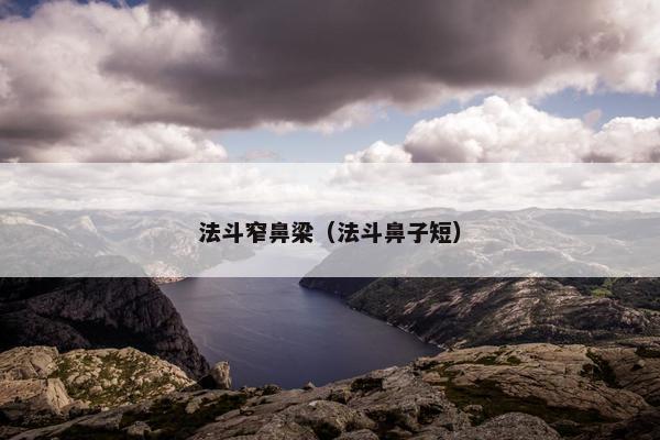 法斗窄鼻梁（法斗鼻子短）