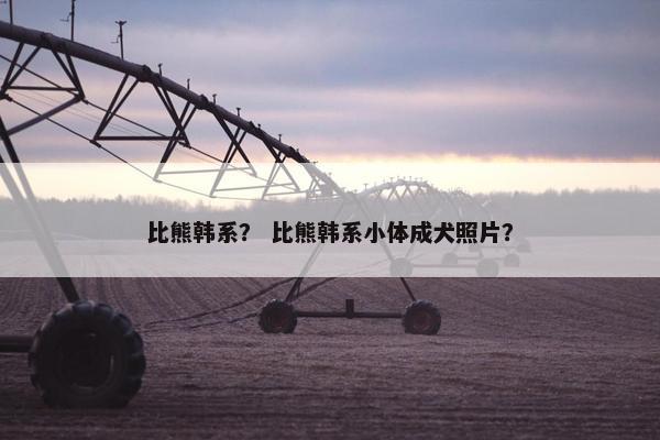 比熊韩系？ 比熊韩系小体成犬照片？