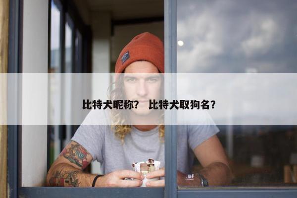 比特犬昵称？ 比特犬取狗名？