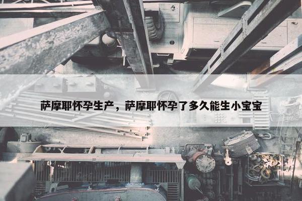 萨摩耶怀孕生产，萨摩耶怀孕了多久能生小宝宝