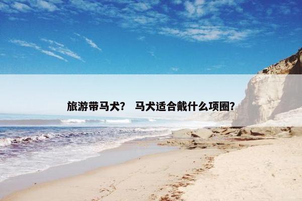 旅游带马犬？ 马犬适合戴什么项圈？