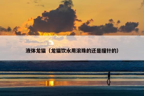 液体龙猫（龙猫饮水用滚珠的还是撞针的）