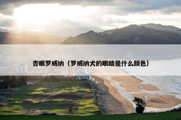 杏眼罗威纳（罗威纳犬的眼睛是什么颜色）