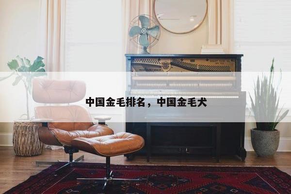 中国金毛排名，中国金毛犬