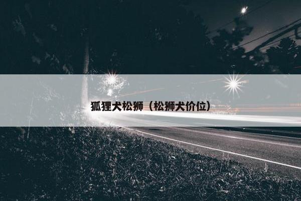 狐狸犬松狮（松狮犬价位）