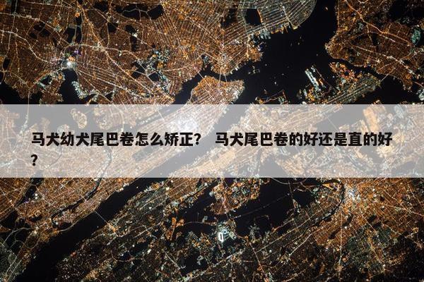 马犬幼犬尾巴卷怎么矫正？ 马犬尾巴卷的好还是直的好？