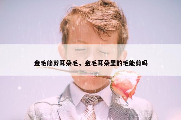 金毛修剪耳朵毛，金毛耳朵里的毛能剪吗