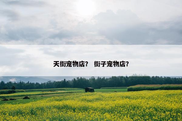 江北区