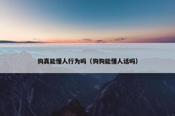 狗真能懂人行为吗（狗狗能懂人话吗）