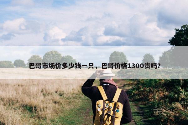 巴哥市场价多少钱一只，巴哥价格1300贵吗?