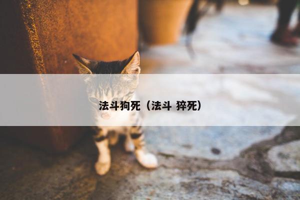 法斗狗死（法斗 猝死）
