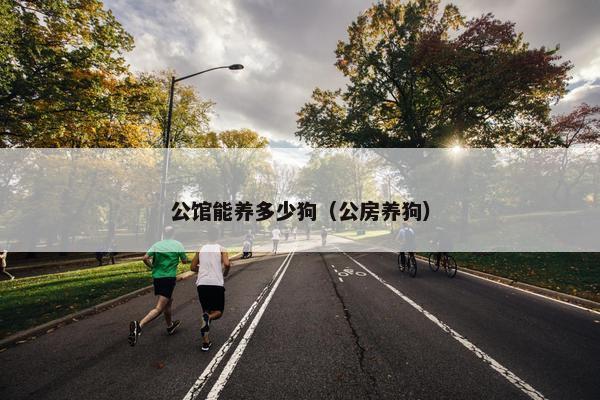 公馆能养多少狗（公房养狗）