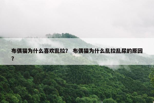 布偶猫为什么喜欢乱拉？ 布偶猫为什么乱拉乱尿的原因？