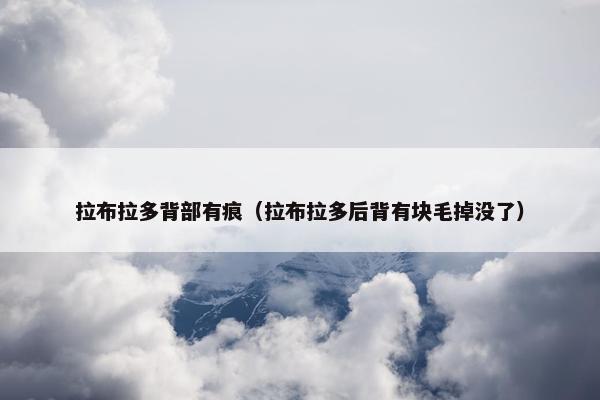 拉布拉多背部有痕（拉布拉多后背有块毛掉没了）