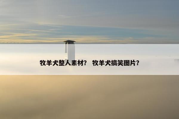 牧羊犬整人素材？ 牧羊犬搞笑图片？