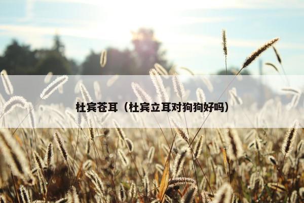 倒计时