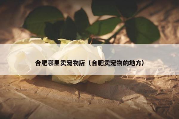 合肥哪里卖宠物店（合肥卖宠物的地方）