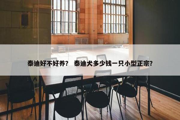 泰迪好不好养？ 泰迪犬多少钱一只小型正宗？