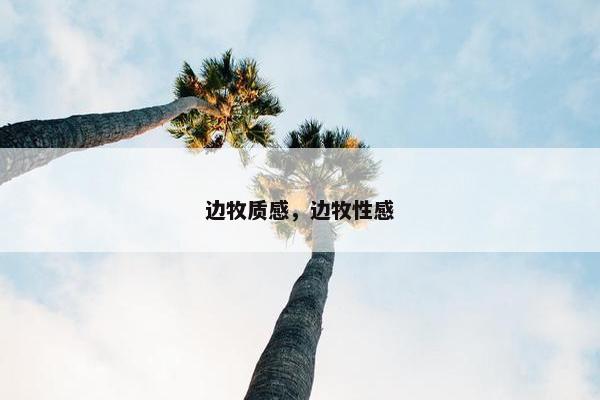 边牧质感，边牧性感
