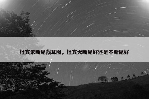 杜宾未断尾裁耳图，杜宾犬断尾好还是不断尾好