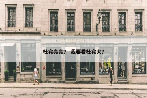杜宾亮亮？ 我要看杜宾犬？
