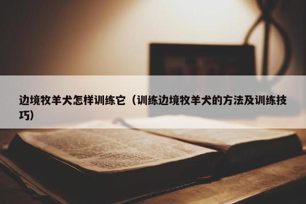 边境牧羊犬怎样训练它（训练边境牧羊犬的方法及训练技巧）