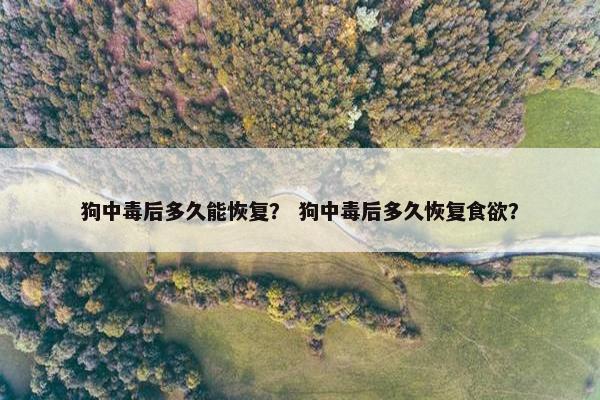 恢复