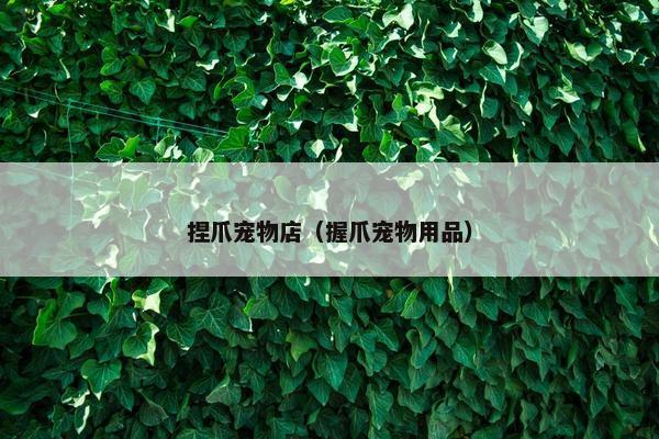 捏爪宠物店（握爪宠物用品）